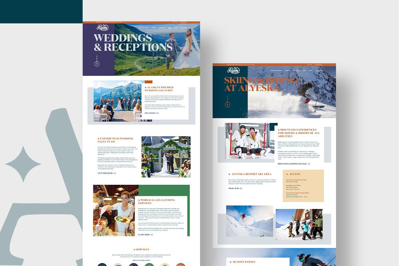 Website design