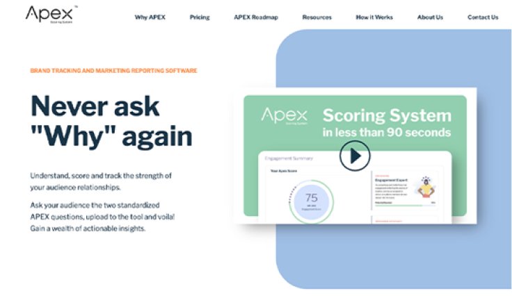 Calgary Web Design